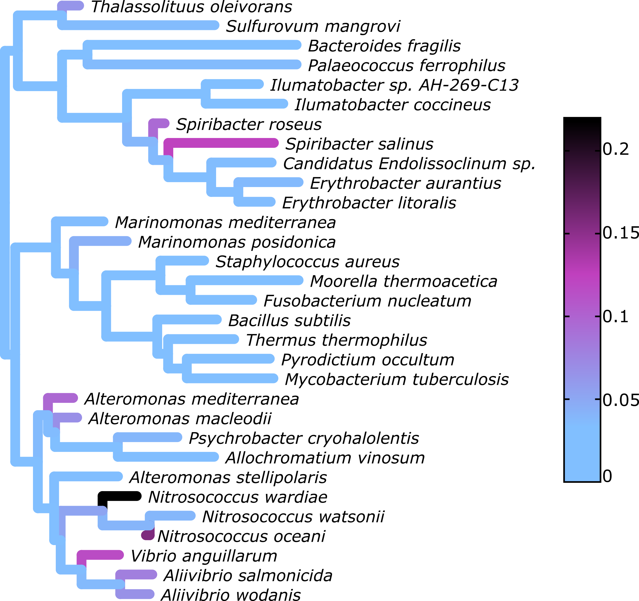 Heat-tree of placement mass across the reference phylogeny.